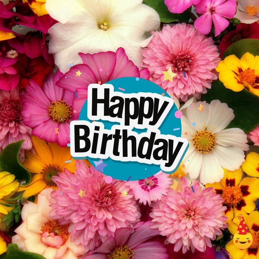 bilder happy birthday kostenlos